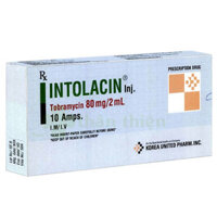 Intolacin 80mg/2ml, diệt khuẩn và điều trị các bệnh về nhiễm khuẩn