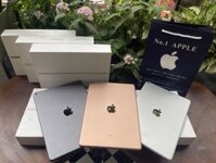 Ipad AIR 3 64/256GB WIFI ONLY/4G, ipad air 3, air 3 64, air 3 256GB
