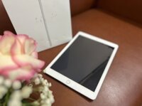 iPad Gen5 (Wi-Fi + Cellular 32GB Silver – LJPIPG5