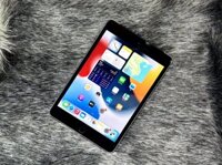 iPad Mini 4 16G bản sim 4G/Giao Lưu