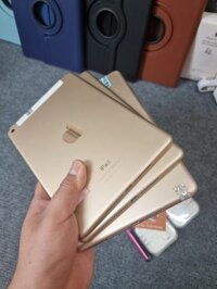 iPad Mini 4 16GB 4G Cũ