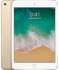 iPad Mini 4 16Gb 99%