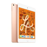 iPad Mini 5 64GB Only Wifi Chính Hãng Cũ