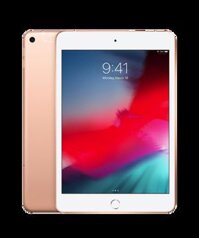 iPad Mini 5 Wi-Fi 64GB