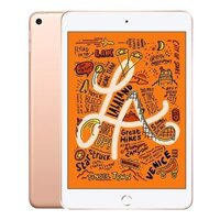 iPad Mini 5 Wi-Fi 64GB