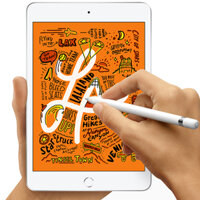 iPad mini 5 WiFi 64GB - Cũ trầy xước