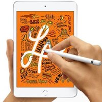 iPad mini 5 WiFi 64GB - Cũ xước cấn