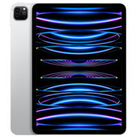 IPAD PRO 11 2022 M2 512GB WIFI