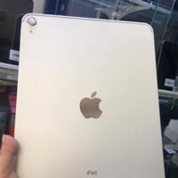 iPad Pro 11 inch 2018 4G 256Gb