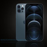 iPhone 12 ProMax 256GB(CPO)NEW