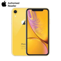 iPhone Xr 128GB chính hãng (VN/A)