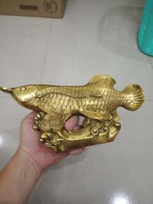 Cá rồng phong thủy