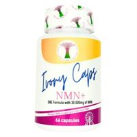 Ivory Caps NMN+ 30.000mg nâng cao sức khoẻ, đảo ngược lão hoá phiên bản mới 2025                          - 37882379                                                       Yêu thích