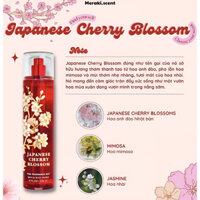 Japanese Cherry Blossom