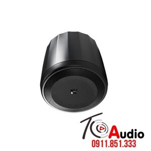 Loa JBL Professional Control 62P