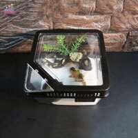 Jesjeliu Thằn lằn Grow Box Trong suốt nuôi rùa Tarantulas