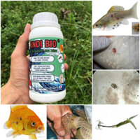 JinDi BiO (Diệt Trùng Mỏ Neo, Rận Nước, Trùng Bánh Xe, Sán Mang, Nội Ngoại Ký Sinh Trùng)