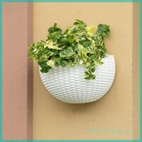 Jojo Chậu Hoa Tinh Tế Treo Tường Nhựa Treo Tường Giỏ Hoa Cho Sân Vườn Ngoài Trời Trang Trí Nhà