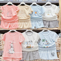 JUDOBY - Bộ quần áo cộc tay cho bé từ 9 tháng đến 36 tháng