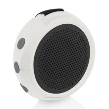 Loa Bluetooth Braven 105