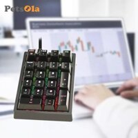 K21 Bàn Phím Số Cơ Có Dây USB 21 Phím RGB Hiệu Ứng Chiếu Sáng Cho Máy Tính Chơi Game PS Nhà Thiết Kế Notebook Laptop
