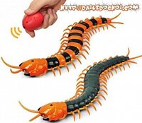 K27 RẾT ĐIỀU KHIỂN TỪ XA CỰC THÚ VỊ