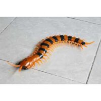 K27 rết điều khiển từ xa cực thú vị