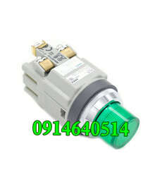 Nút nhấn IDEC ALN29911DNG