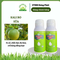 KALI BO SỮA TO TRÁI, CHẮC HẠT , RA HOA, TRỔ BÔNG ĐỒNG LOẠT