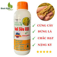 KALI SỮA USA. Cứng cây, đứng lá, chống đỗ ngã, chắc hạt, nặng ký.