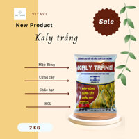 Kaly trắng - kali 60% mập đòng cứng cây chắc hạt 2kg