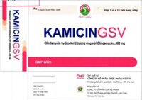 Kamicin GSV 300mg