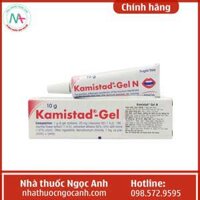 Kamistad Gel N 10g