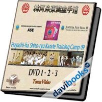 Karate Hayashi ha Shito ryu Karate Training Camp