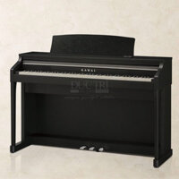 Kawai CN24