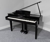 Kawai DG30