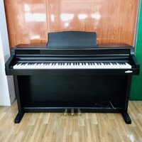 KAWAI PW-820