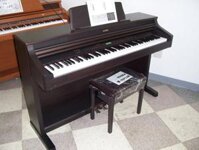 Kawai PW-950