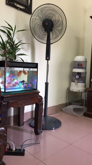 Quạt cây - đứng KDK P41U (P41UBK) - 30W