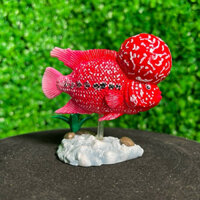 KÈ CÁ LA HÁN , mô hình cá la hán bằng nhựa resin