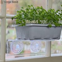 Kệ cây cửa sổ VERGE LIMIT, Giá treo cây trong nhà trong suốt, Kệ treo tường Acrylic có cốc hút Giá đỡ chậu hoa trong nhà