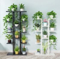 Kệ để cây cảnh trong nhà hiện đại KGTN-011KTT010