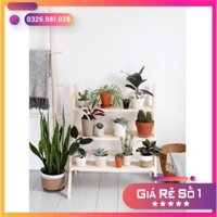 kệ để chậu cây nhỏ, kệ gỗ thông [Ảnh Thật Tự Chụp]