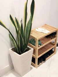 KỆ DÉP GỖ 4 TẦNG 80CM