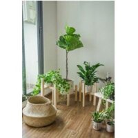 kệ đôn gỗ đựng cây