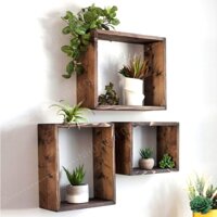 Kệ gỗ vuông, chữ nhật treo tường trang trí decor, kệ trang trí cây cảnh mini