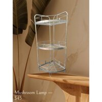 Kệ góc tường nhà bếp. nhà tắm 100% Inox có thể đứng hoặc treo tường .
