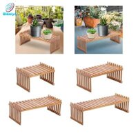 Kệ hoa blesiya Giá đỡ cây trồng Giá đỡ hoa để bàn cho văn phòng