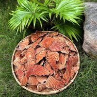 Kê Huyết Đằng, Cây Cỏ Máu Khô Tự Nhiên 1Kg Không Vụn | Đông y Ông Thọ