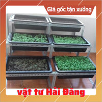 Kệ khung sắt v lỗ Bậc thang 2 tầng 4 khay  trồng rau .(kích thước khay 65x43x16cm)